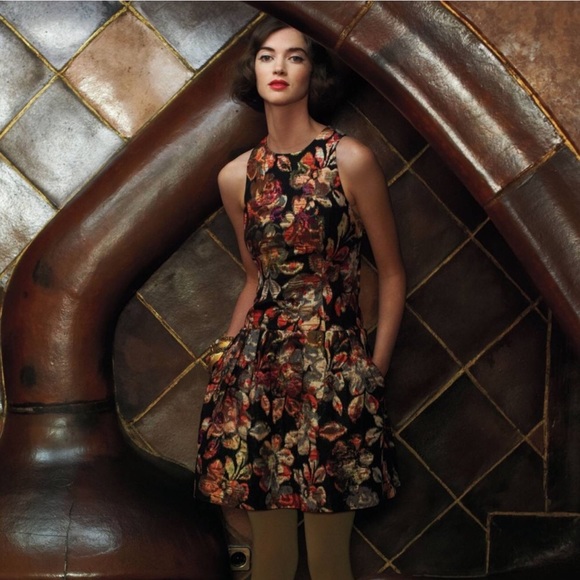 RARE Anthropologie drop waist dress by Leifsdottir - Picture 8 of 8